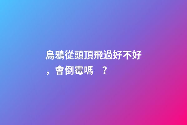 烏鴉從頭頂飛過好不好，會倒霉嗎？